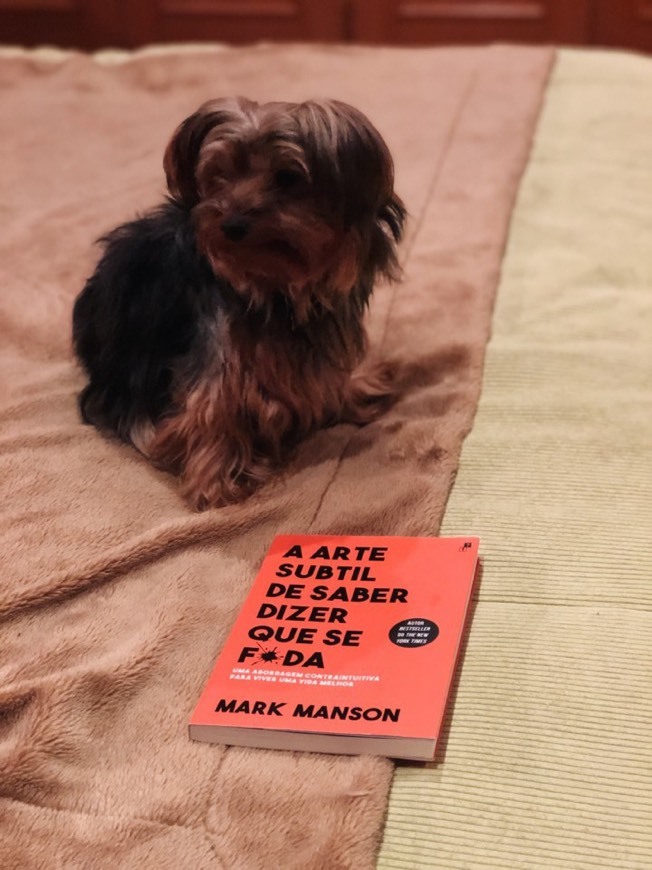Libro A arte subtil de dizer que se f*da de Mark Manson 