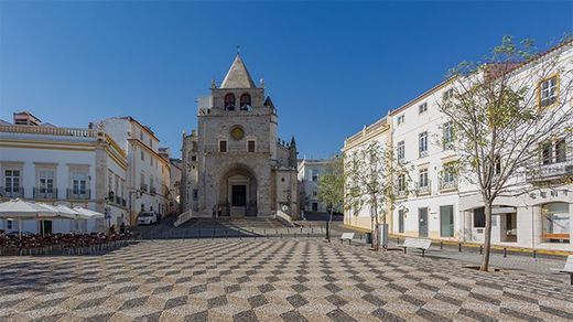 Our Lady of the Assumption Cathedral