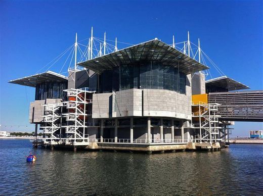 Lugar Oceanario de Lisboa