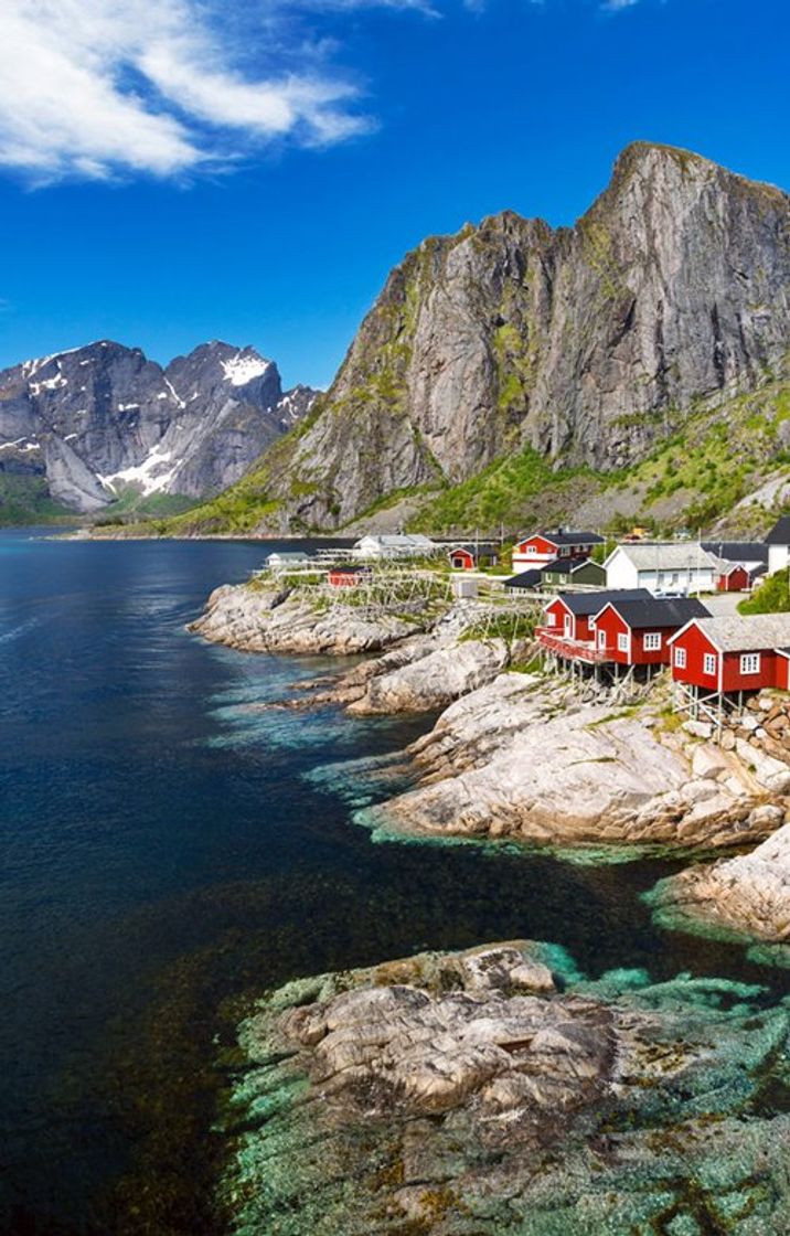 Social Noruega