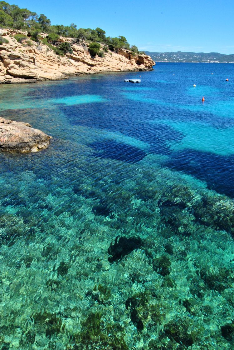 Place Cala Bassa