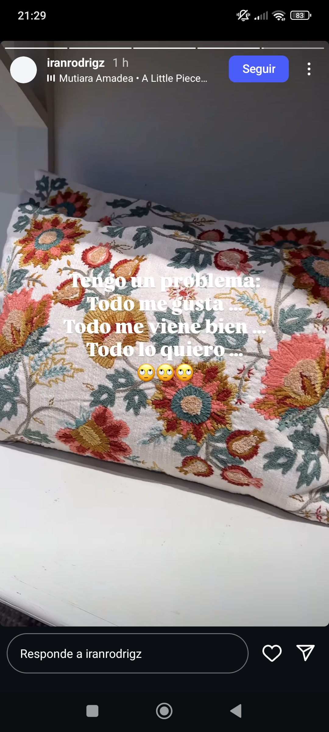 Social Cojín zara bordado