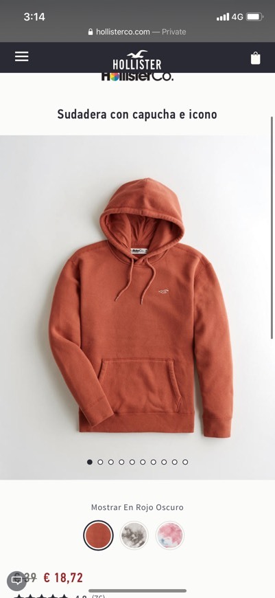 Product Sudadera con capucha Hollister