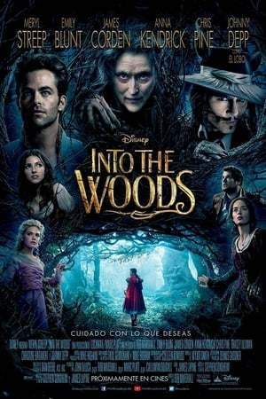 Película Into the Woods