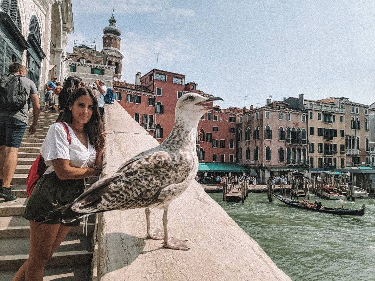 Place Puente de Rialto