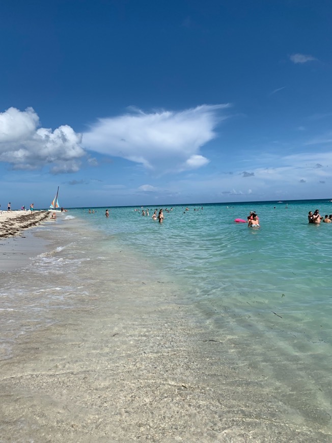 Lugar Iberostar Laguna Azul