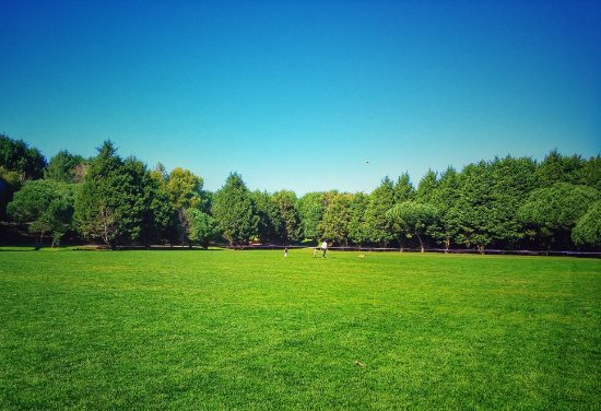 Place Parque da Cidade