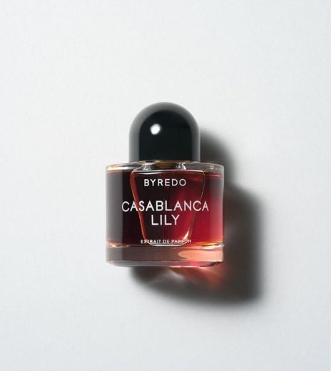 Bryedo Casablanca Lily 