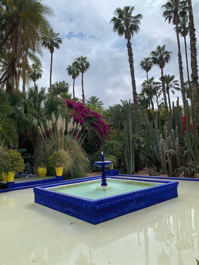 Lugar Jardín Majorelle