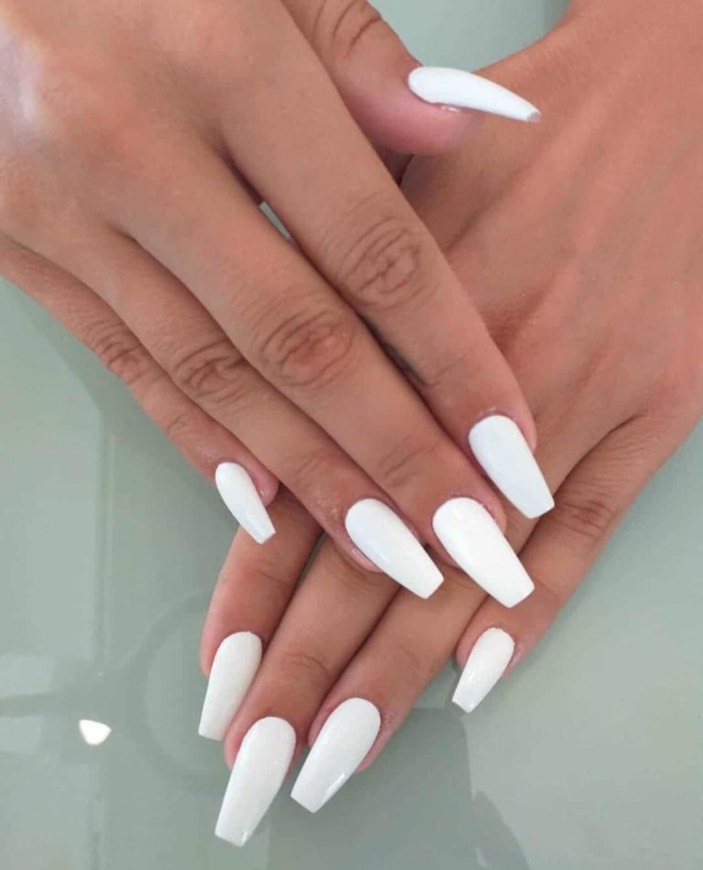 🐚