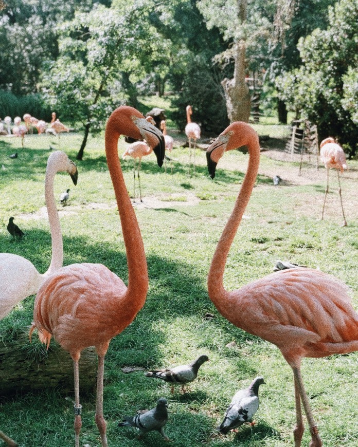 Place Zoo Aquarium de Madrid