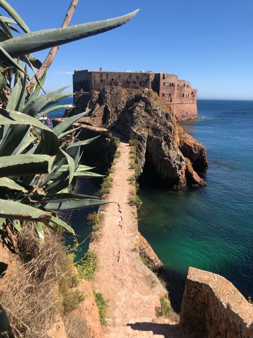 Place Berlengas