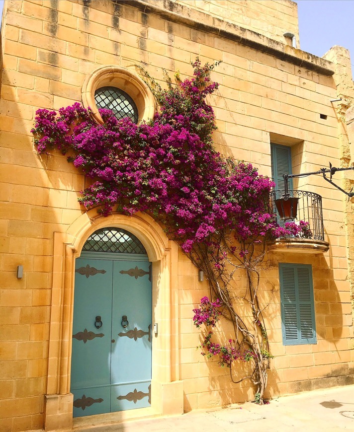 Place Mdina