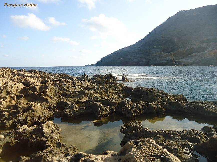 CALA REONA