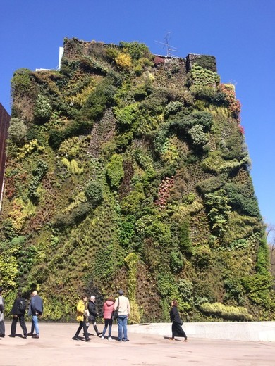 Jardín Vertical Caixaforum