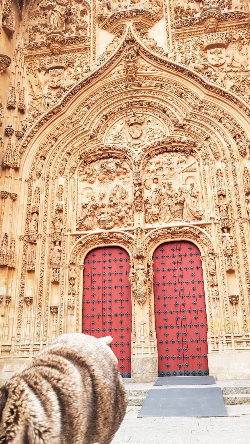 Lugar Catedral de Salamanca