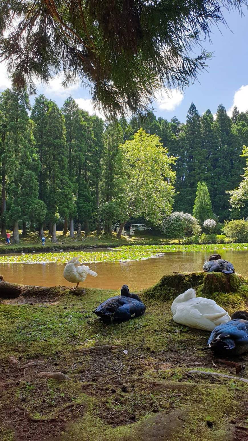 Place Lagoa das Patas
