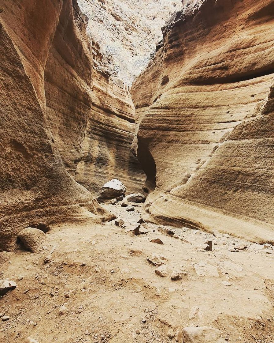 Lugar Barranco de Las Vacas - Local Guide Gran Canaria