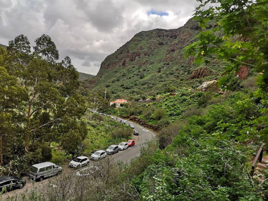 Restaurants Casa Cueva Canaria