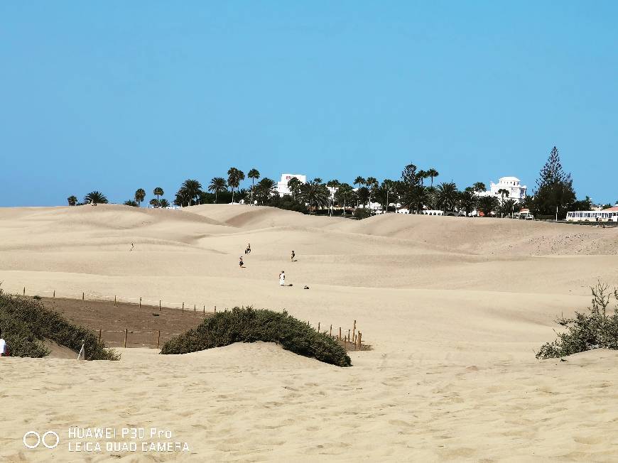 Place Dunas De Maspalomas