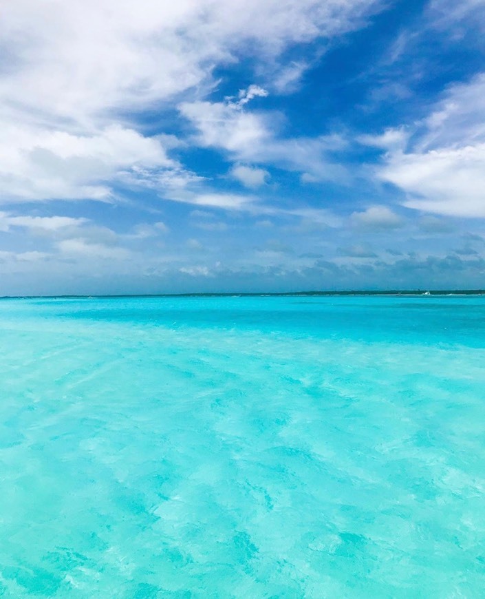 Place Isla Cozumel