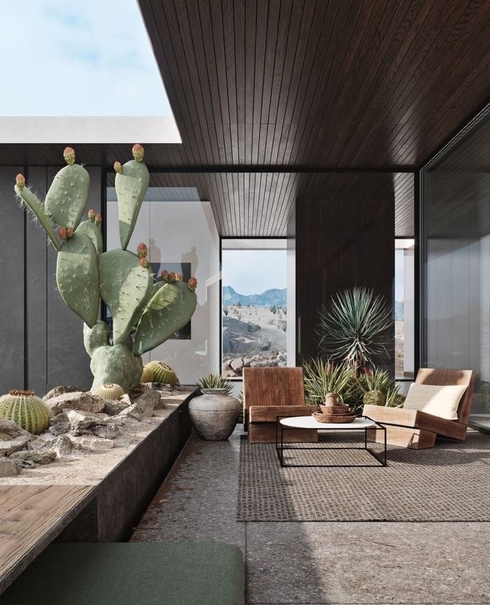 Social Cactus place