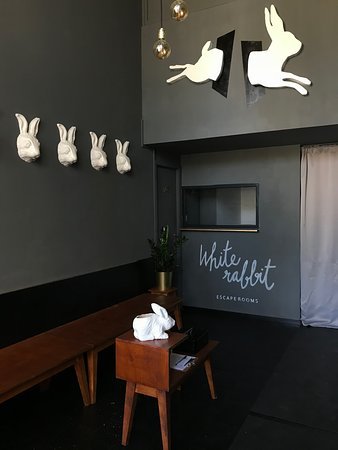 Places white rabbit escape rooms