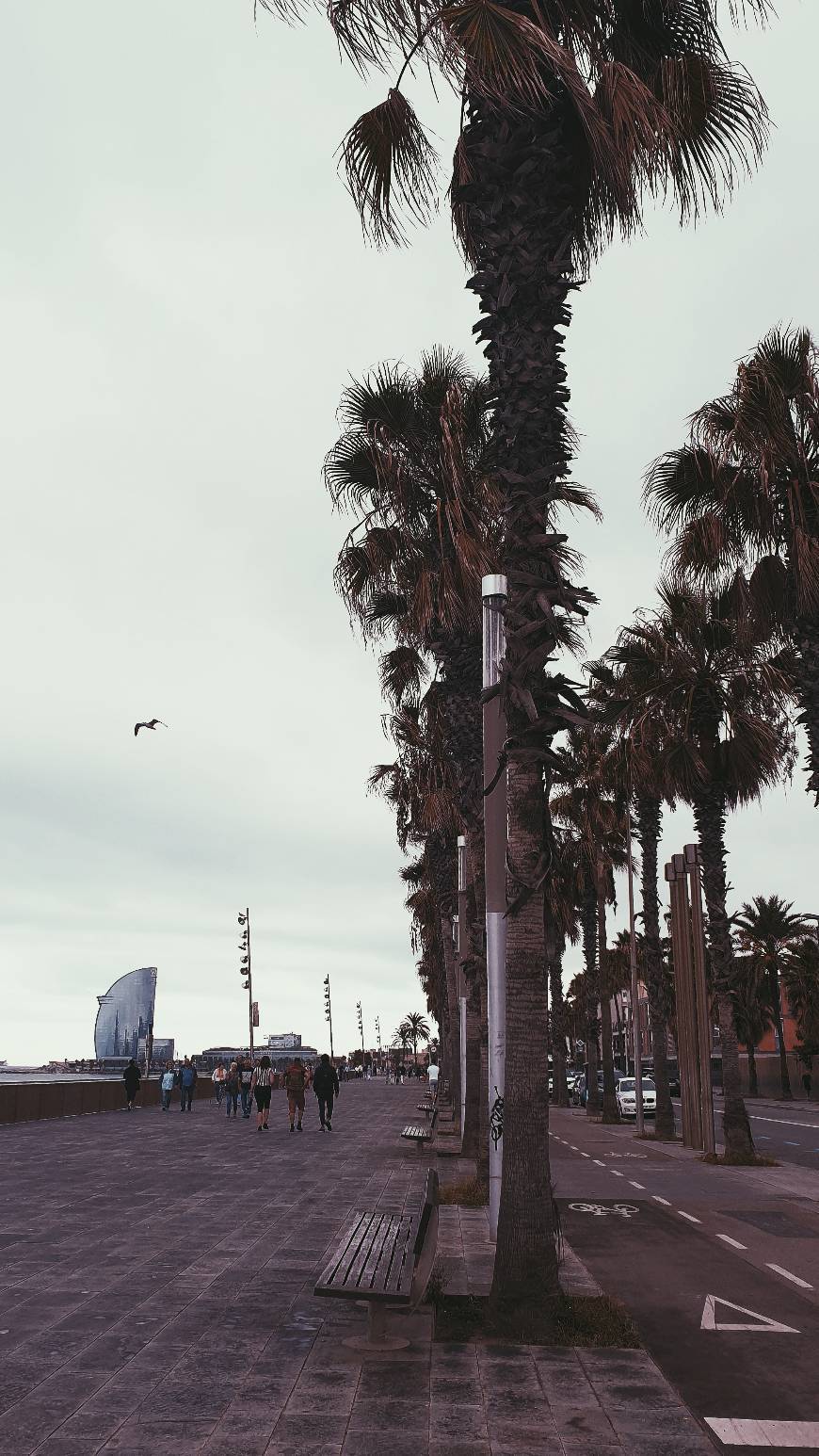 Lugar Playa De La Barceloneta