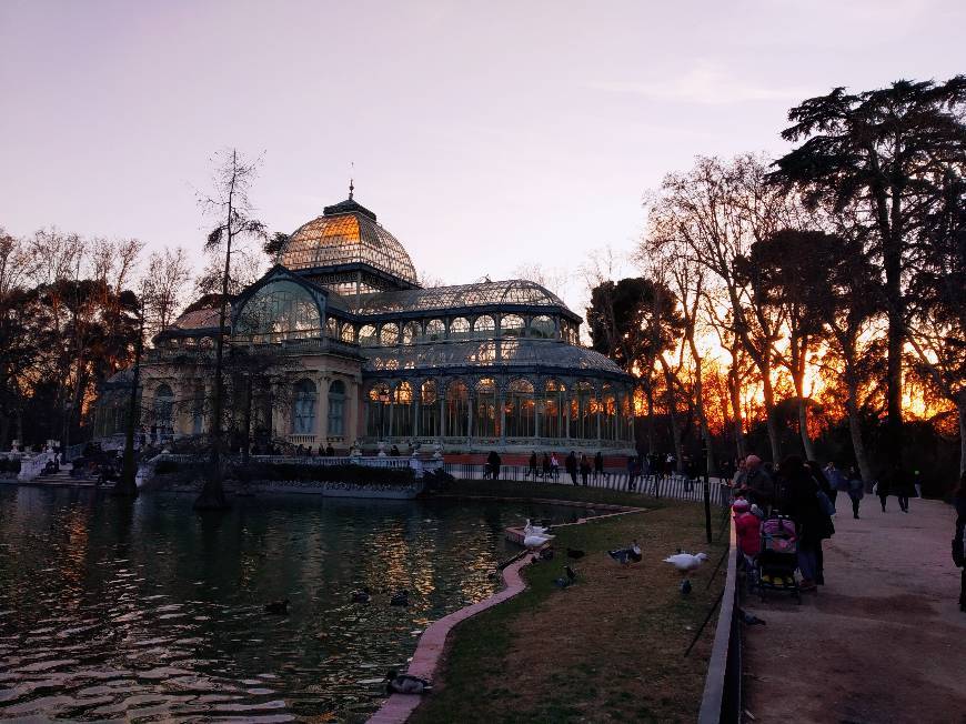 Lugar Palacio de Cristal