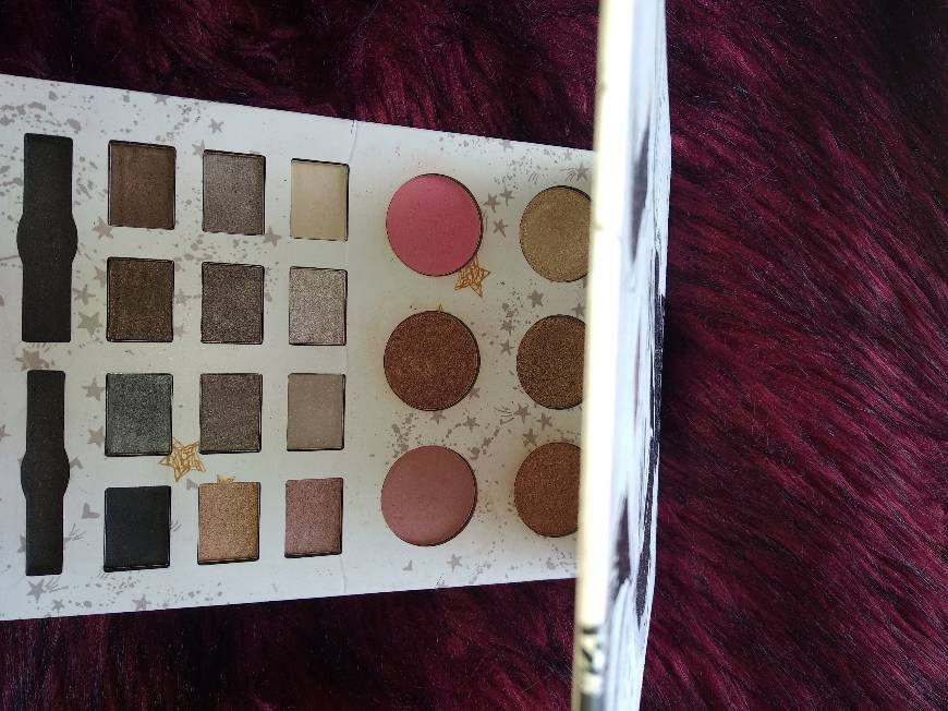 Social Palete blush