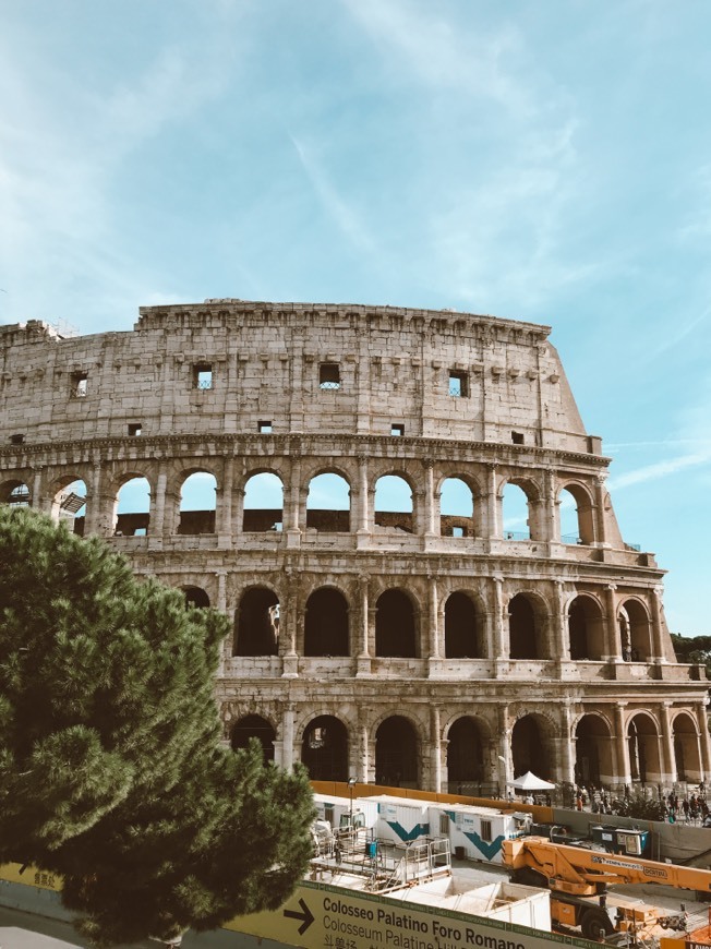 Restaurants Coliseo Roma