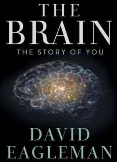 The Brain with David Eagleman