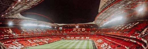 Estádio Sport Lisboa e Benfica 