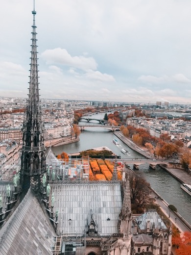 Catedral de Notre Dame