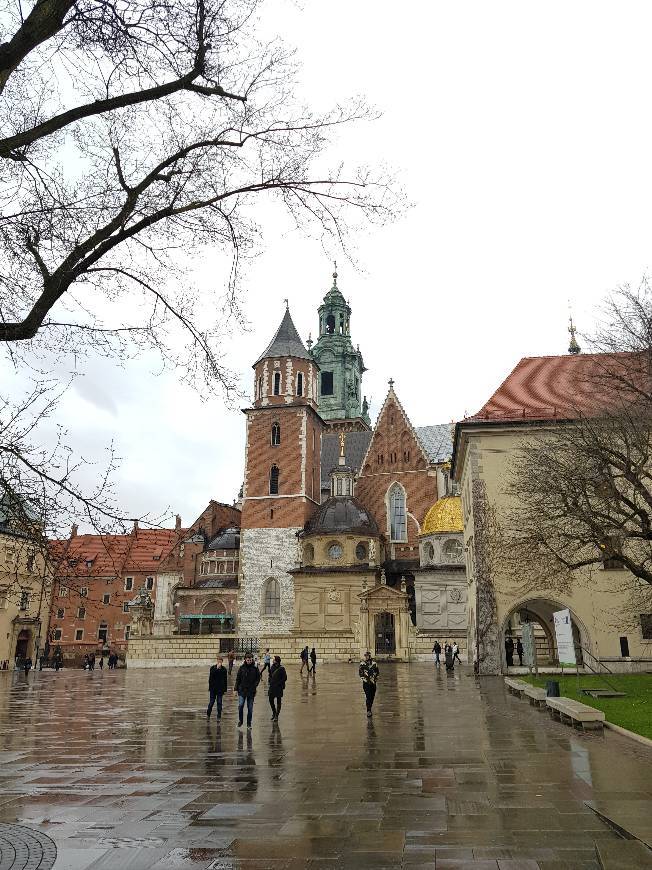 Place Castillo de Wawel