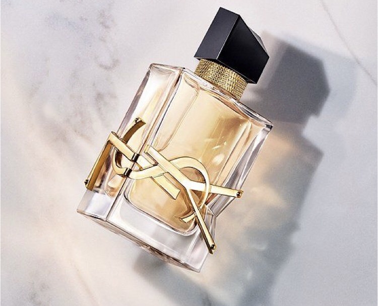 YVES SAINT LAURENT