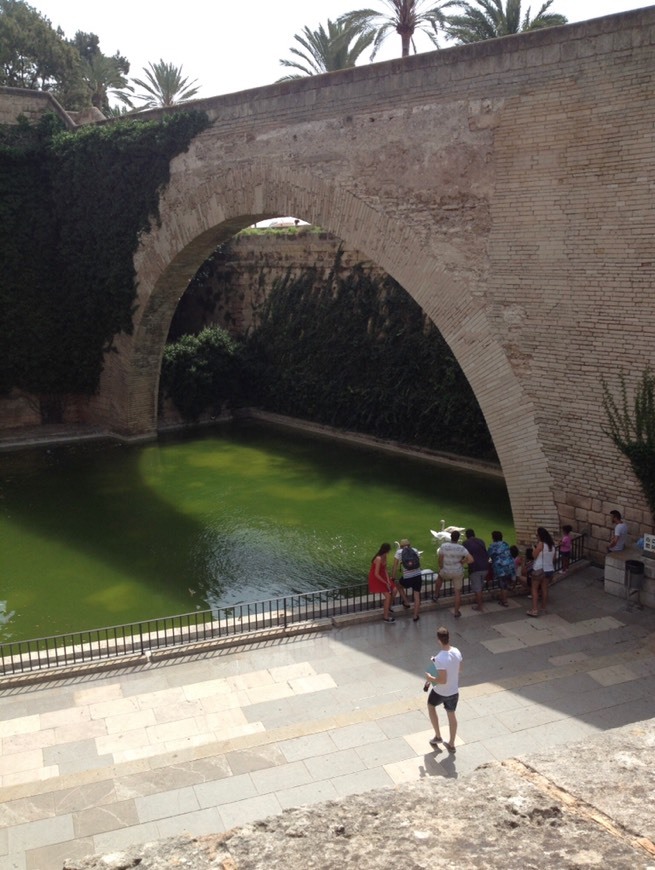 Place Palma de Mallorca