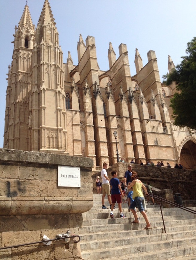 Lugar Catedral-Basílica de Santa María de Mallorca