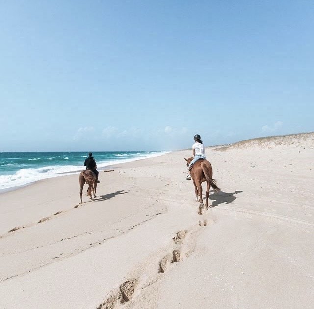 Fashion Cavalos na areia 