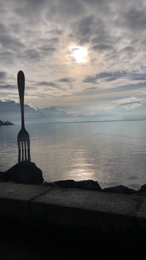 Place Vevey