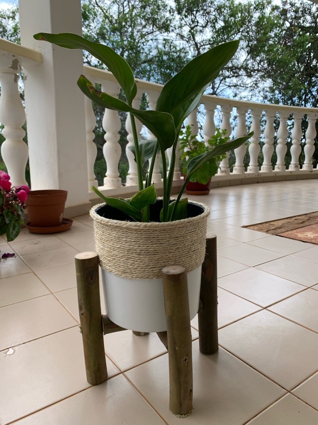 Vaso para flores 🌷- handmade