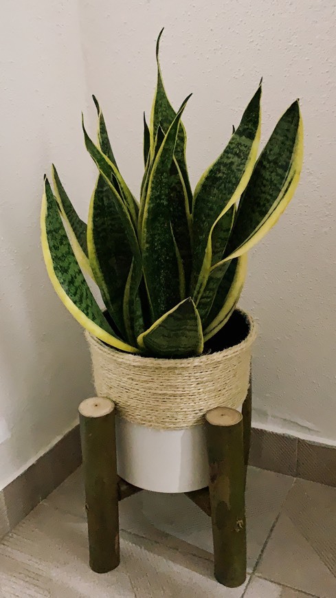 Vaso - handmade 🌷
