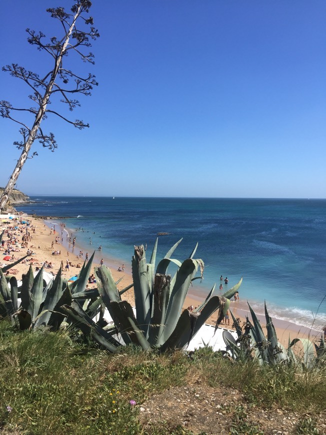 Lugar São Pedro do Estoril