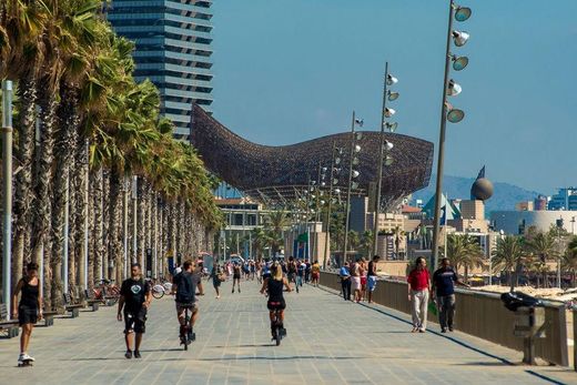 La Barceloneta