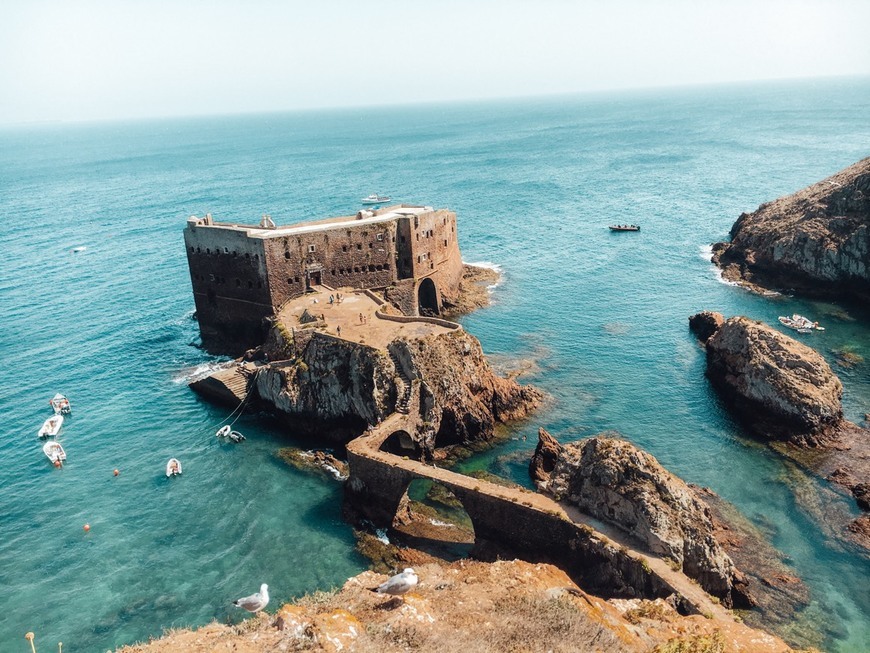 Place Berlengas