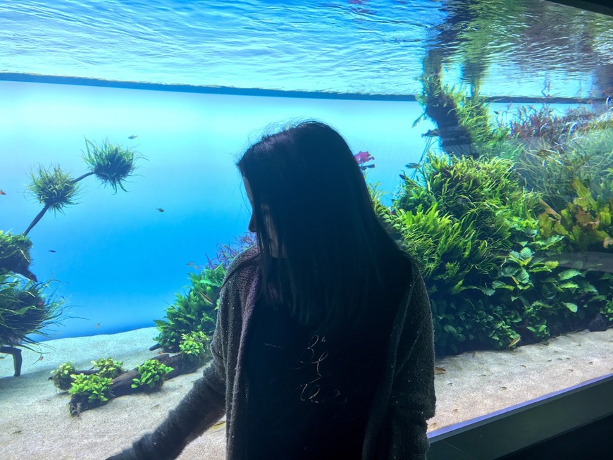 Place Oceanário de Lisboa