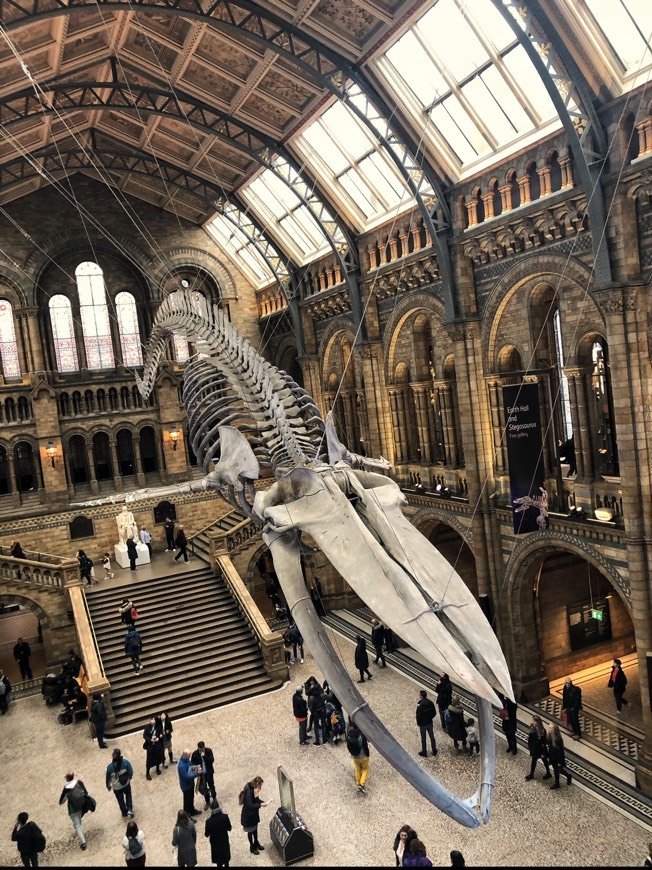 Place Natural History Museum