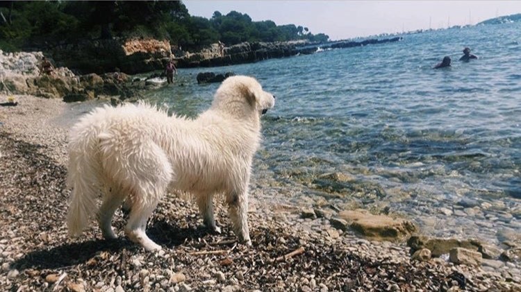 Lugares Île Sainte-Marguerite