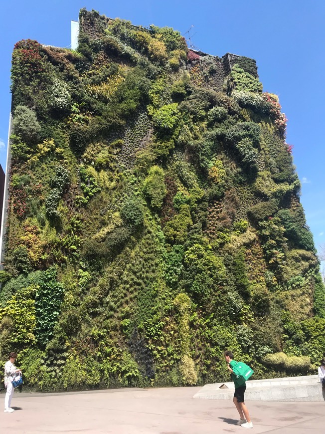 Jardim vertical 