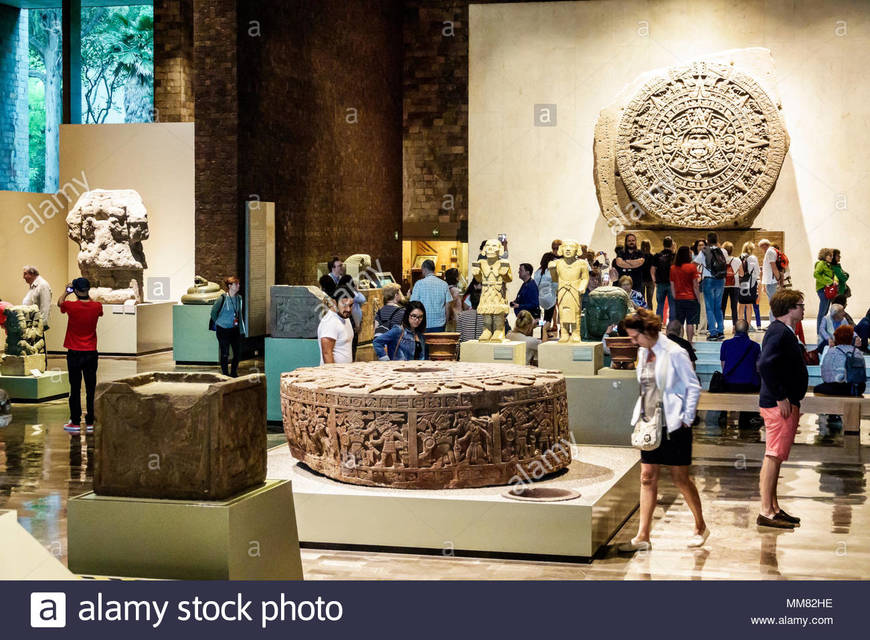 Place Museo Nacional de Antropología